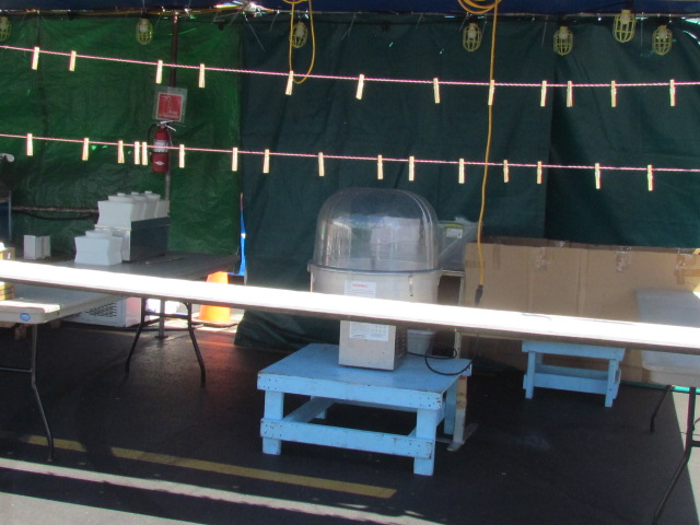 Unpacking the booth